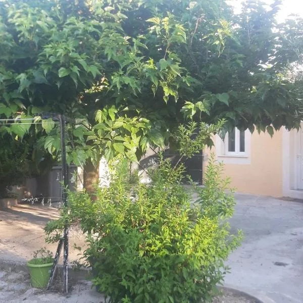 Ogooué Studio, hotel v destinaci Carpentras