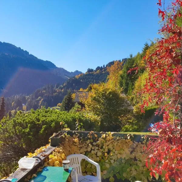 Chalet Henri by Interhome, hotel in Moleson
