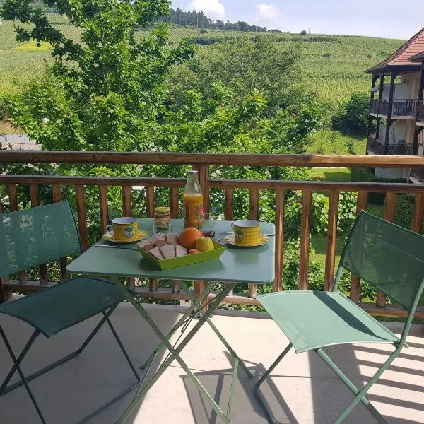Le Petit Nid, hotel in Bergheim