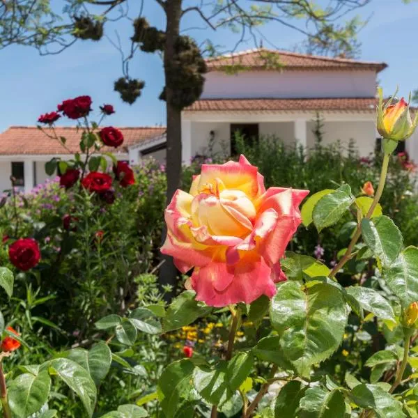Quinta de São Pedro, hotel in Sobreda