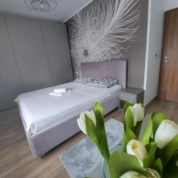 Paula Apartment, hotelli kohteessa Uisenteş