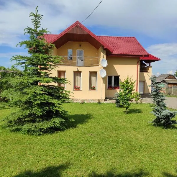 Casa Nicu、Bălăceanaのホテル