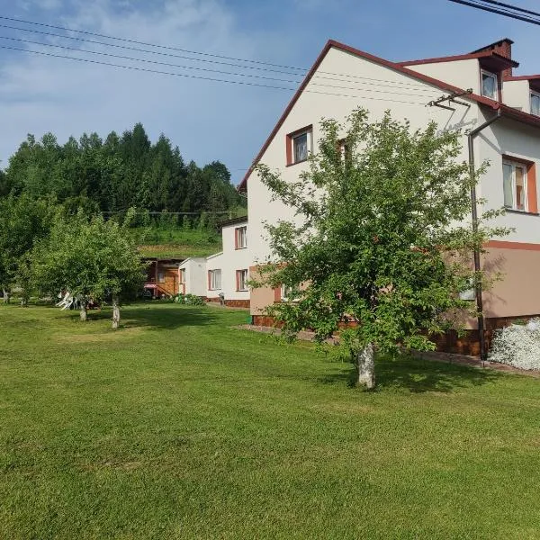 Przy Winogronie, hotel v destinaci Uherce Mineralne (7)