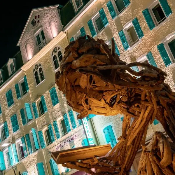 Hôtel de France Contact-Hôtel, hotelli kohteessa Évian-les-Bains