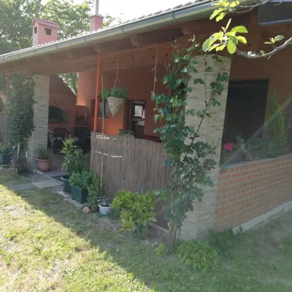 Paun, hotel v destinaci Koprivnica