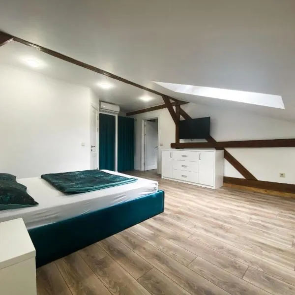Мансардні апартаменти в центрі міста, hotel in Ivano-Frankivsʼk