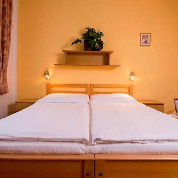 Penzion Bohemia: Lomnice nad Lužnicí şehrinde bir otel