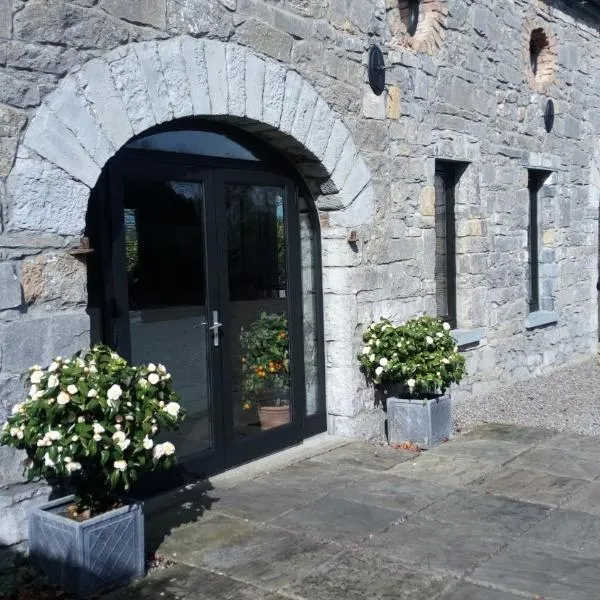 Augherea House, hôtel à Longford