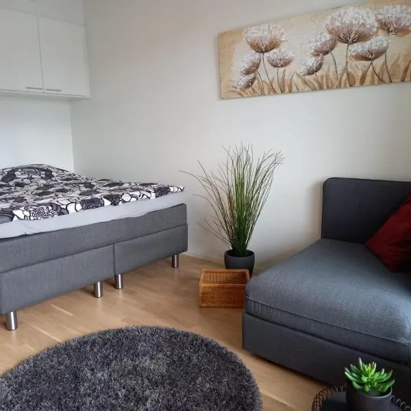 Lutakko Apartment 2 with free parking、ユヴァスキュラのホテル