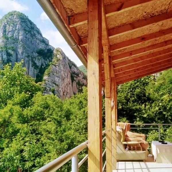 Odmaralište Vlaško ždrelo, hotell sihtkohas Pirot