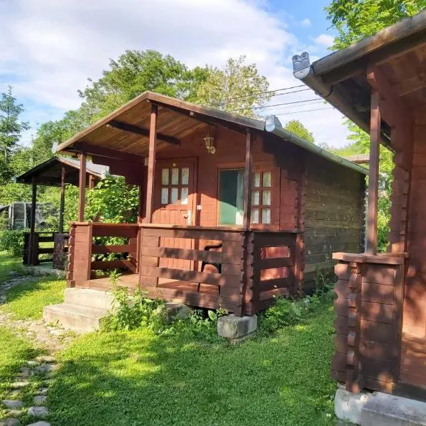 Bungalow Camping Edelweiss - Floare de colt - Gyopár, hotel in Moldoveneşti