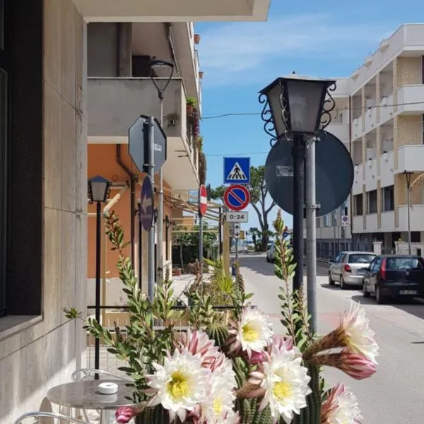 Hotel Blurelda – hotel w mieście Silvi Marina