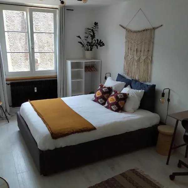 Appartement Spacieux et Cosy - Strasbourg Centre, hotel a Strasburgo