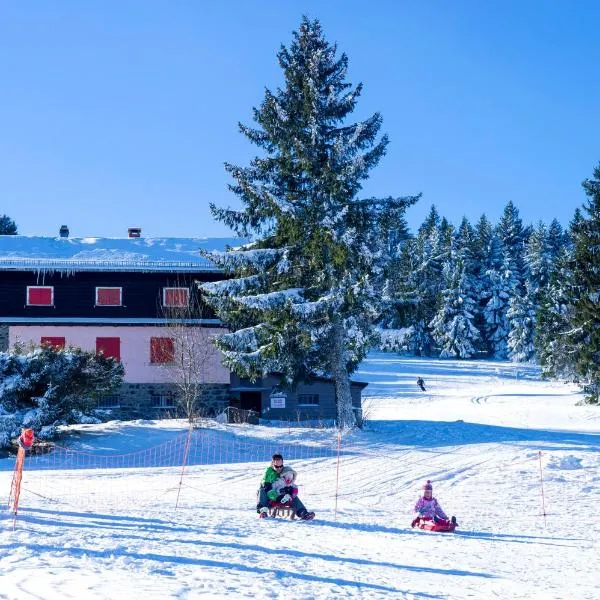 VTF Les Fougères, hotel i Soultzeren