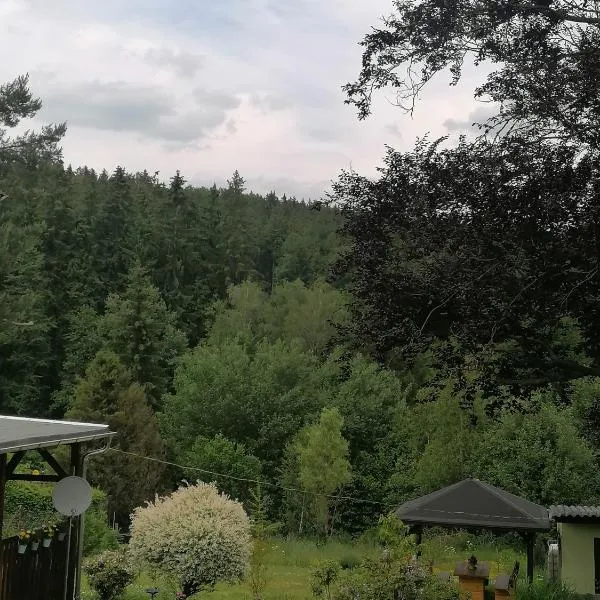 Ferienwohnung Waldblick mit Balkon, viešbutis mieste Zebnicas