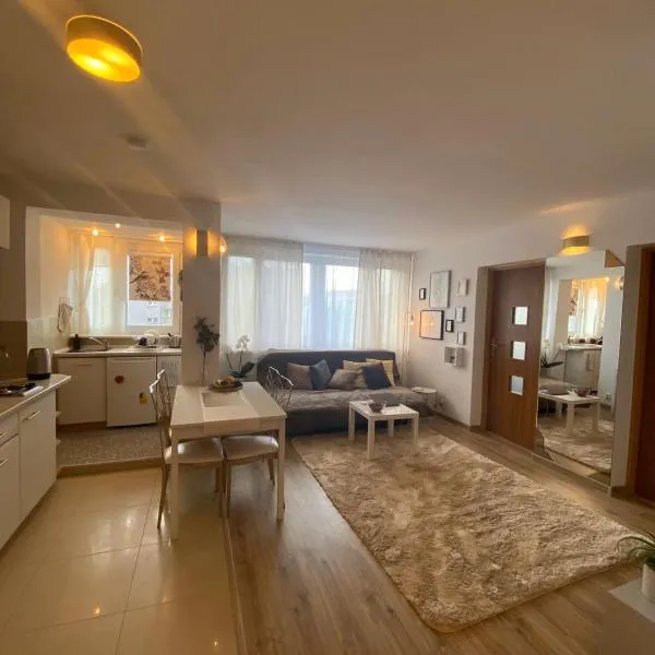 Vicky - New Apartment Centrum Srodmiescie、ワルシャワのホテル
