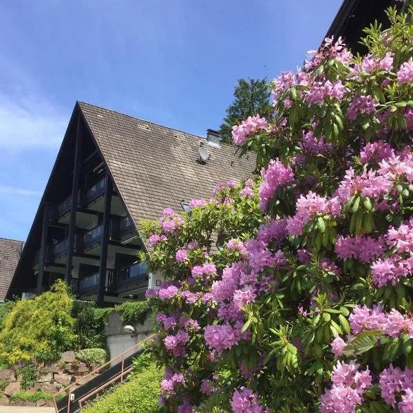 Panorama Point, hotel v destinaci Sasbachwalden