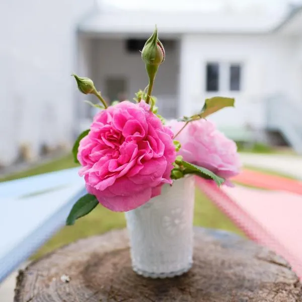 골스에 위치한 호텔 Domizil Gols, Studios Am Anger