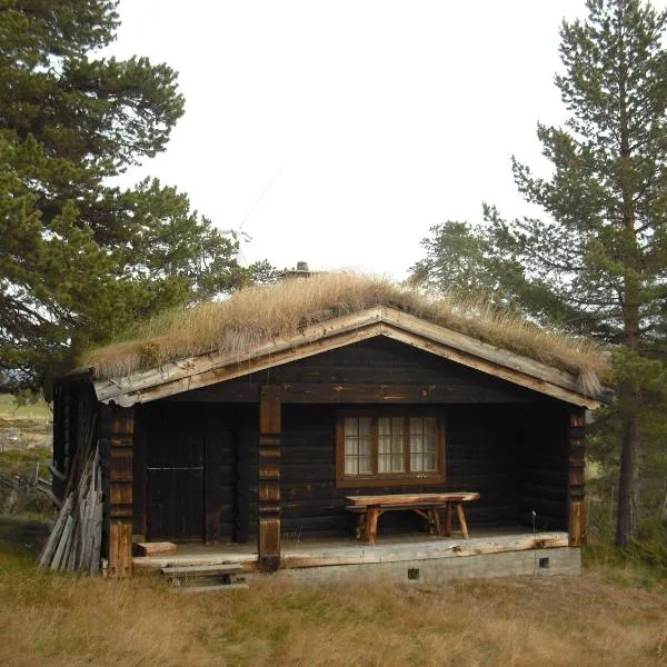 Lusæter Timber Cabins, hotell i Hindseter 