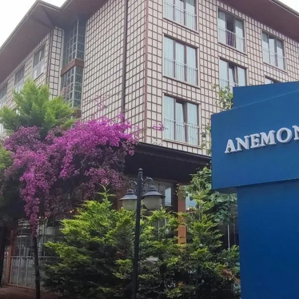 Anemon Trabzon Hotel, hotel en Özdil