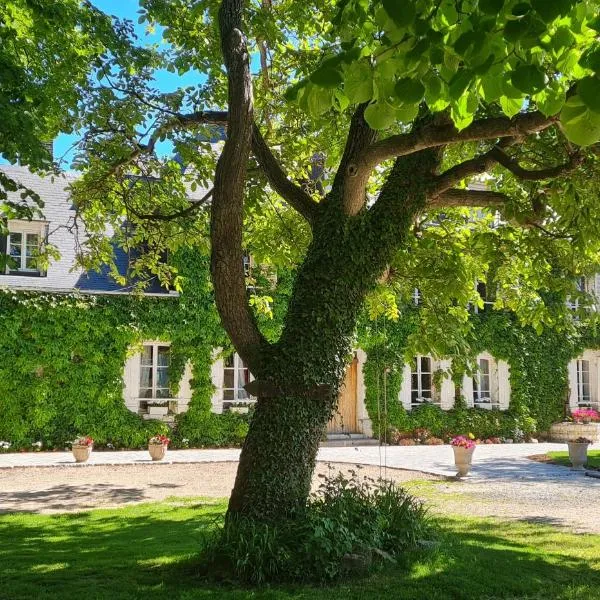 La Tilia, hotell i Saint-Riquier