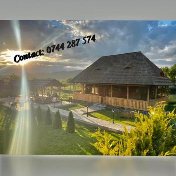 Casa Eli, hotel in Vişeu de Sus