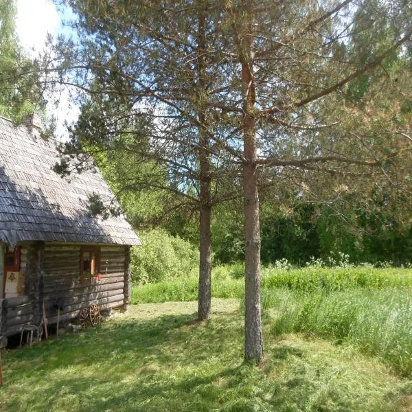 Pähnamäe metsamajake: Misso şehrinde bir otel