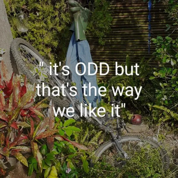 Vincentia Odd Cottage ( self catering), hotel in East London