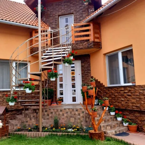 Casa de Oaspeti Cristian, hotel din Praid