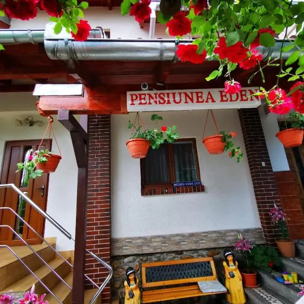 Pensiunea Eden, hotel v destinaci Curtea de Argeş