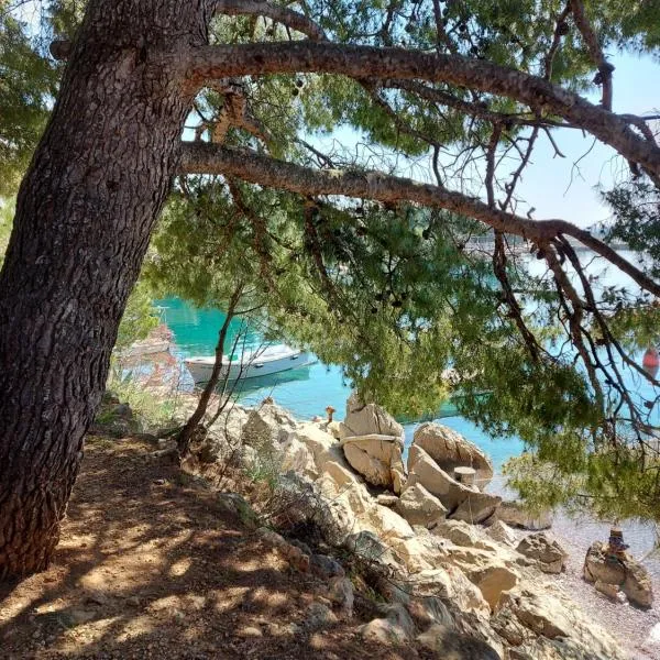 Apartment Ante and Dijana, hotel v destinaci Starigrad-Paklenica