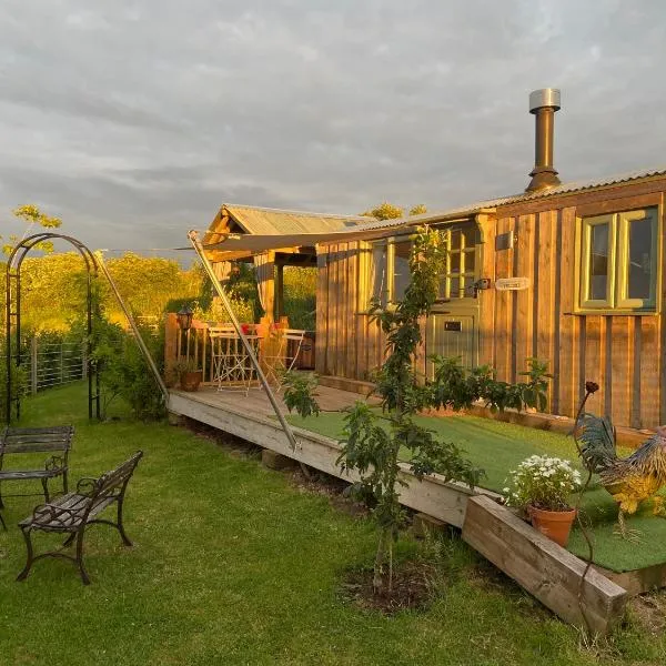 Willowbank shepherds hut, khách sạn ở Taunton