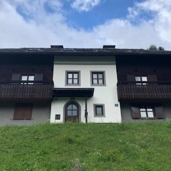 Appartement mit Hüttenflair, hotel in Sankt Oswald