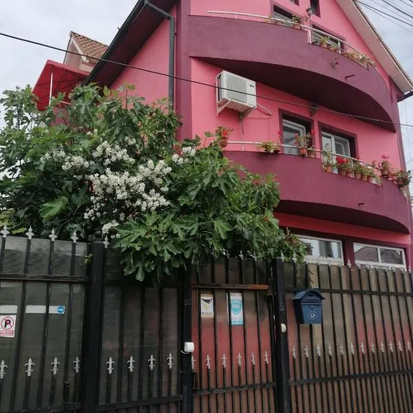 너보다리에 위치한 호텔 Vila Mihai