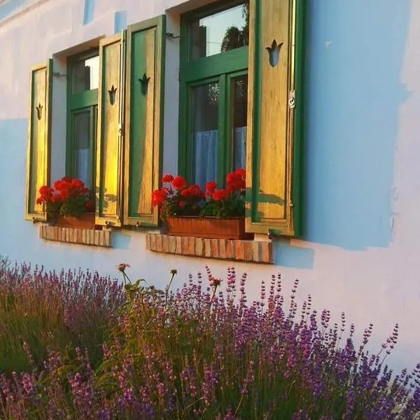 Égkőris Vendégház, hotel v destinaci Bakonyszücs