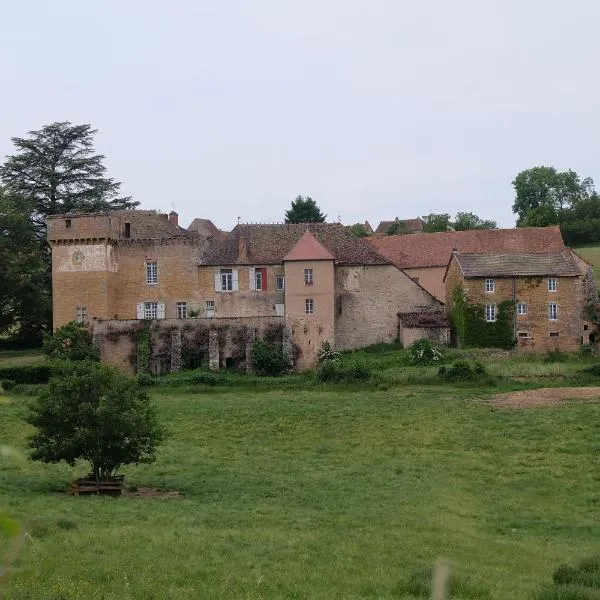 Le Gros Chigy Château, hotel in La Guiche