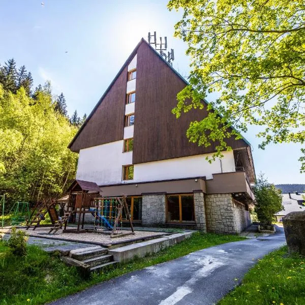 Parkhotel Harrachov, viešbutis Harachove