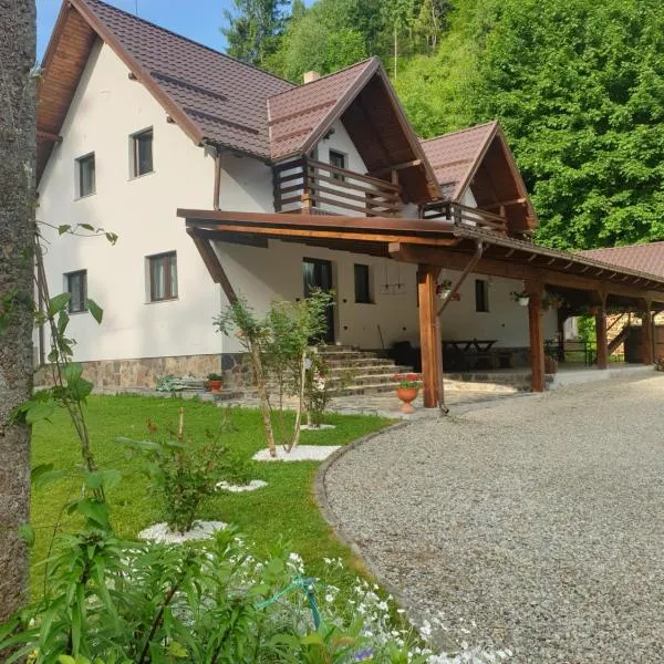 Pensiunea Cheile Repezii, hotel v destinaci Borşa