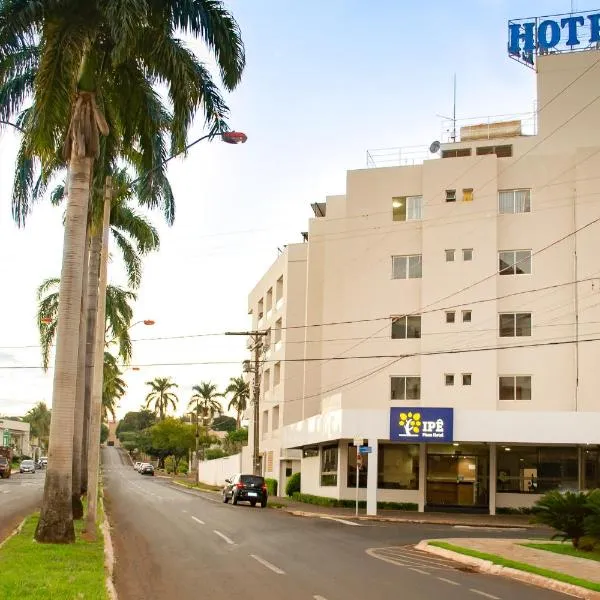 IPÊ PLAZA HOTEL LTDA, hotel em Itumbiara