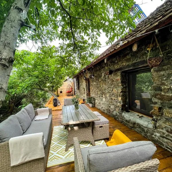 The Hunter House、Ciudanoviţaのホテル