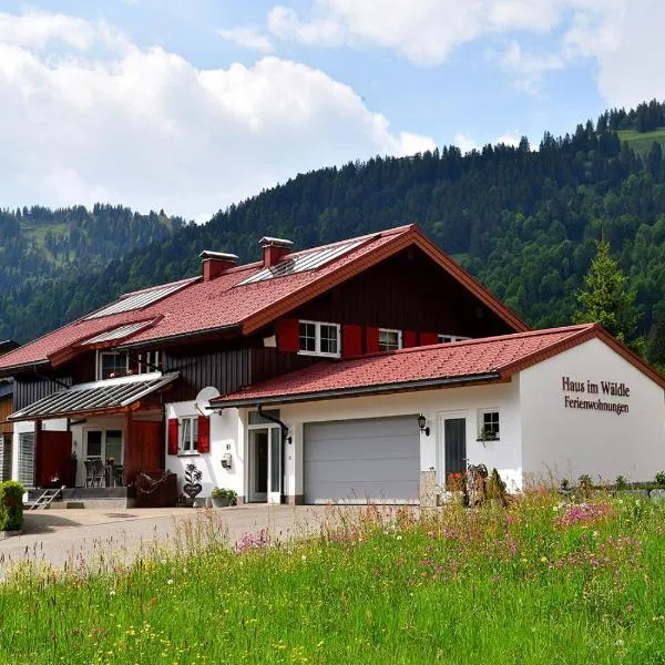 Haus im Wäldle, hotel in Balderschwang