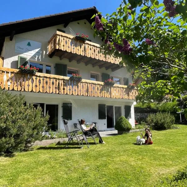Black Forest Dream Apartments, hotel v destinaci Feldberg