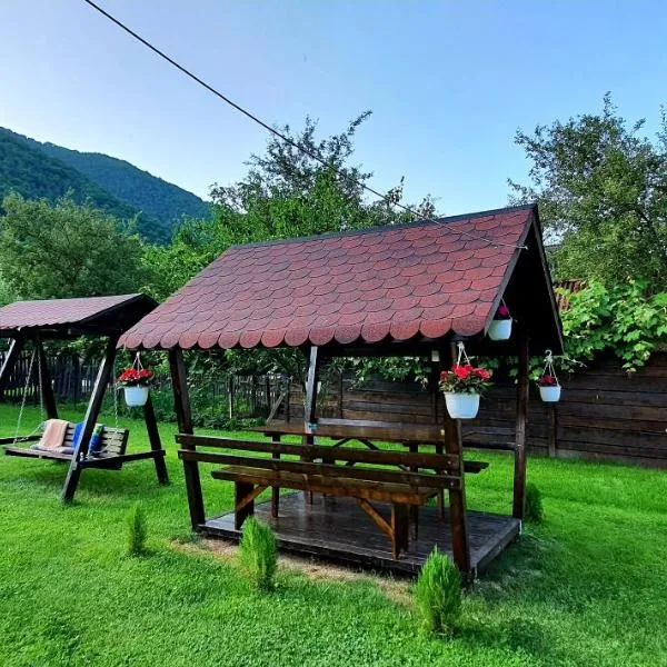 Casa Maria Transalpina, hotel in Martinie