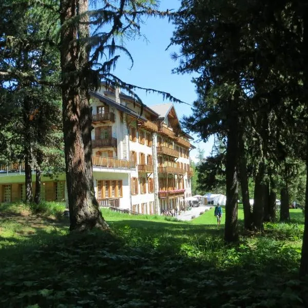 Grand Hôtel & Kurhaus, hotel v destinaci Arolla
