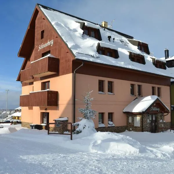 Schneeberg Apartmany, viešbutis mieste Boží Dar