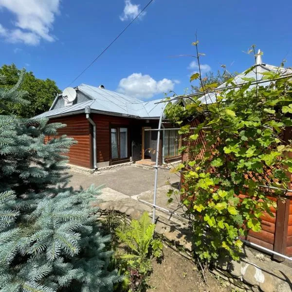 Прикарпаття, hotel en Kosiv