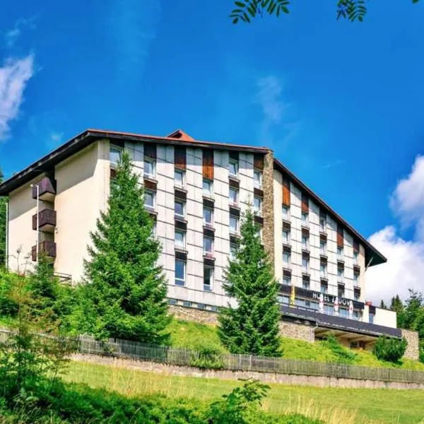 Hotel Zadov, hotel v destinaci Borová Lada