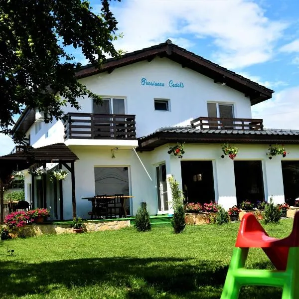 Pensiunea Codalb, hotel v destinaci Jurilovca