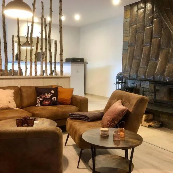 Ferienwohnung Birkenlodge, hotel in Schmallenberg