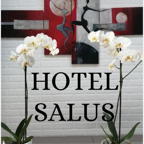 Hotel Salus, hotel en Nova Milanese